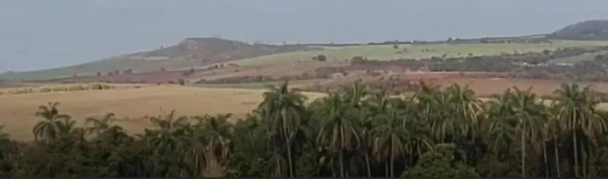 Fazenda à venda de 90 ha em São João da Boa Vista, SP, Brasil
