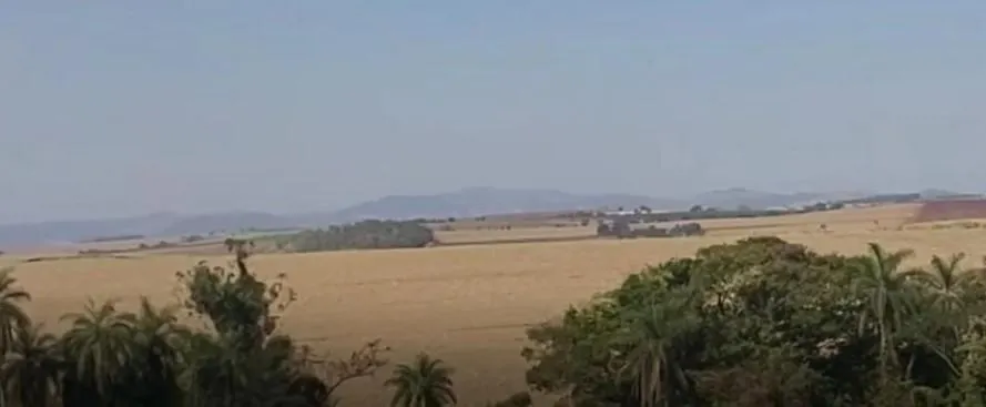 Fazenda à venda de 90 ha em São João da Boa Vista, SP, Brasil