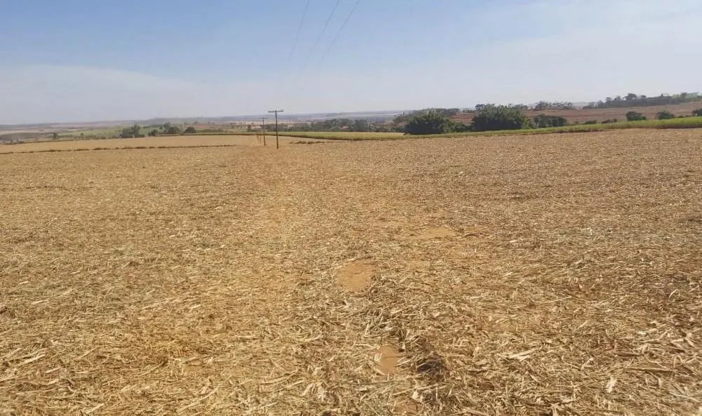 Fazenda à venda de 90 ha em São João da Boa Vista, SP, Brasil