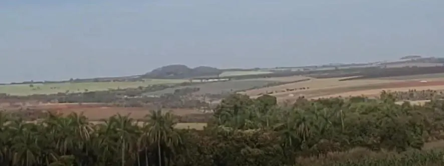 Fazenda à venda de 90 ha em São João da Boa Vista, SP, Brasil