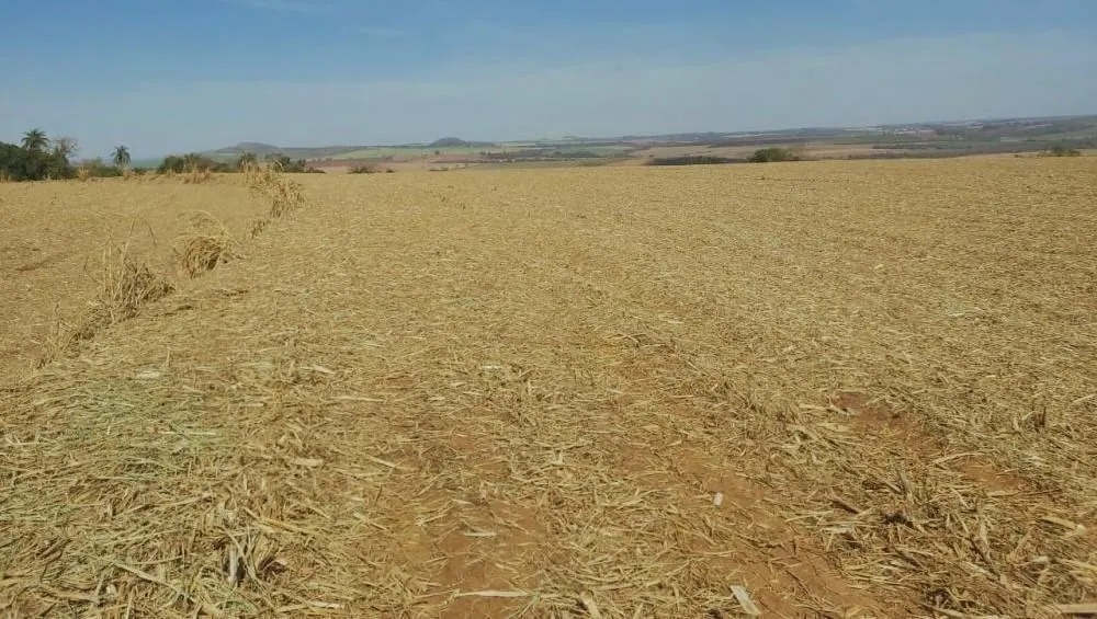 Fazenda à venda de 90 ha em São João da Boa Vista, SP, Brasil