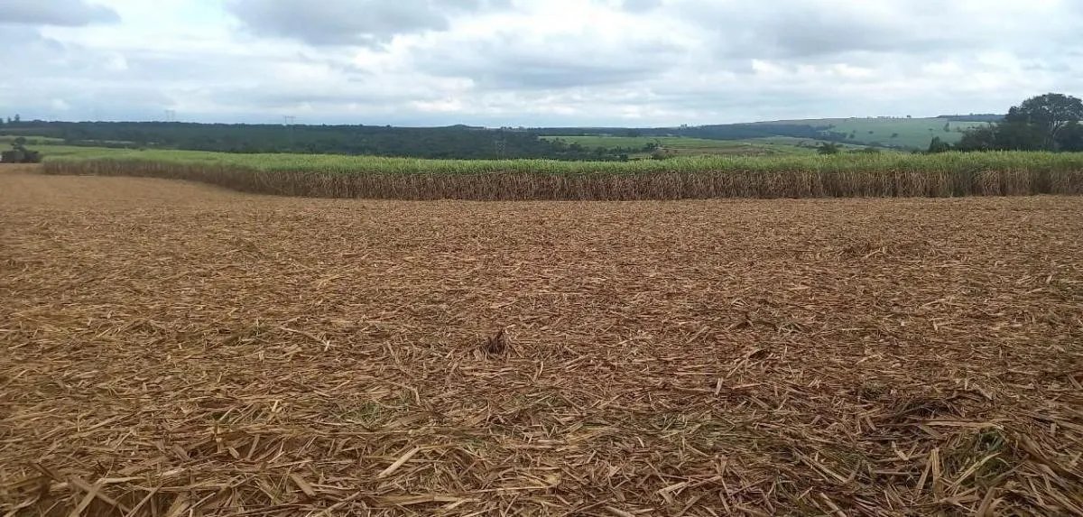 Fazenda à venda de 90 ha em São João da Boa Vista, SP, Brasil