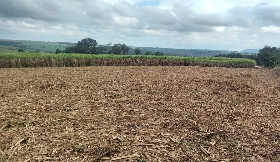 Fazenda à venda de 90 ha em São João da Boa Vista, SP, Brasil