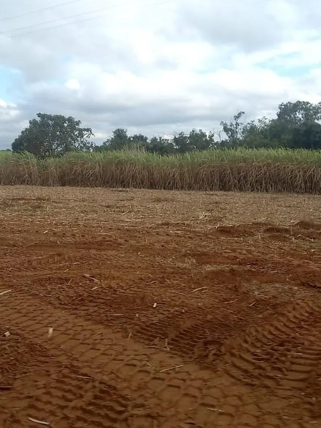 Fazenda à venda de 90 ha em São João da Boa Vista, SP, Brasil