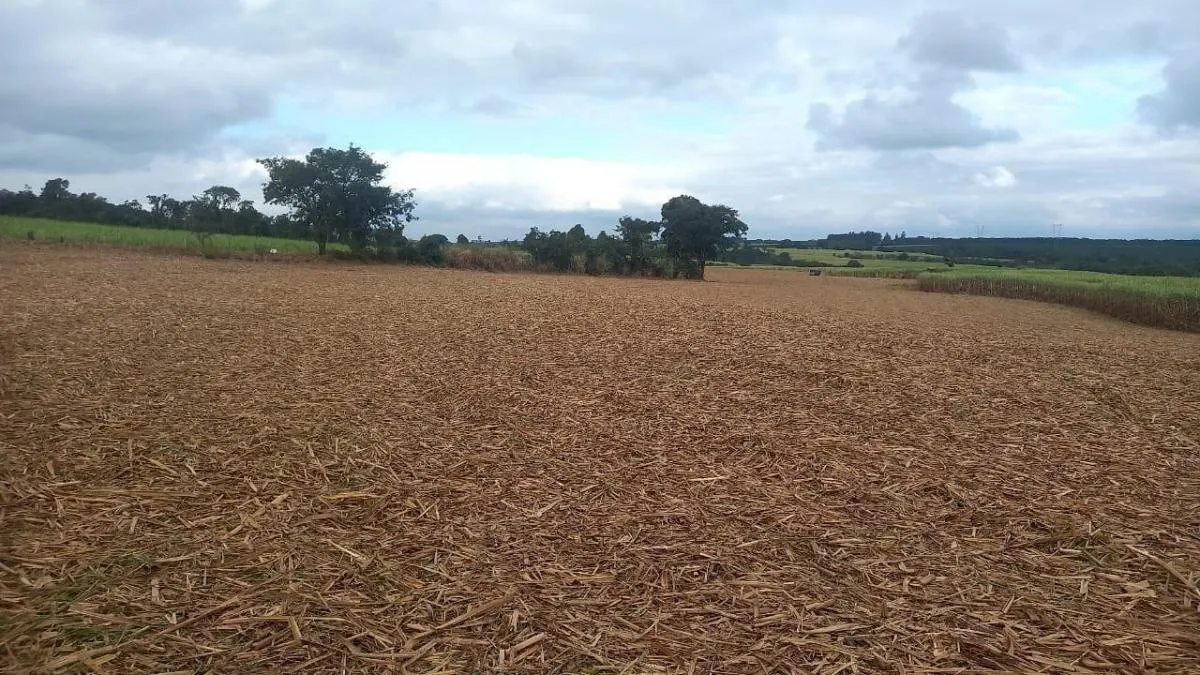 Fazenda à venda de 90 ha em São João da Boa Vista, SP, Brasil