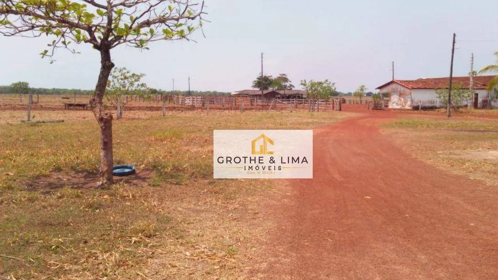 Farm for sale of 33,488 acres in Araguacema, TO, Brazil