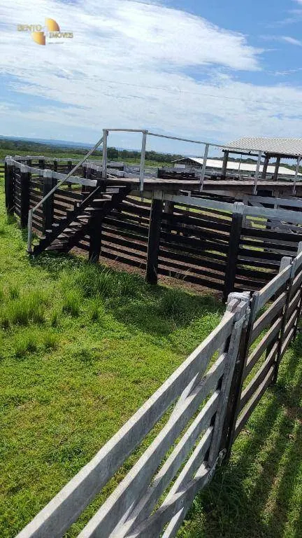Fazenda à venda de 320 ha em Jangada, MT, Brasil