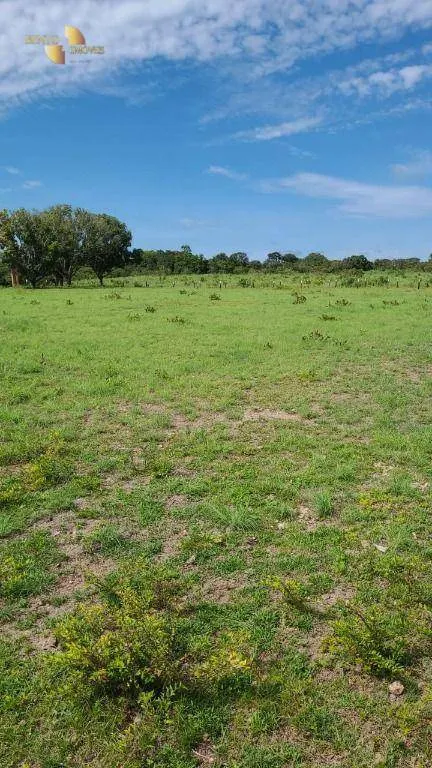 Fazenda à venda de 320 ha em Jangada, MT, Brasil