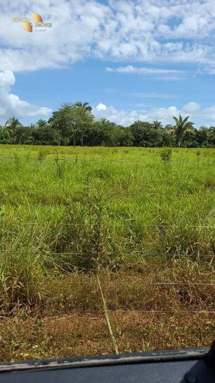 Fazenda à venda de 320 ha em Jangada, MT, Brasil