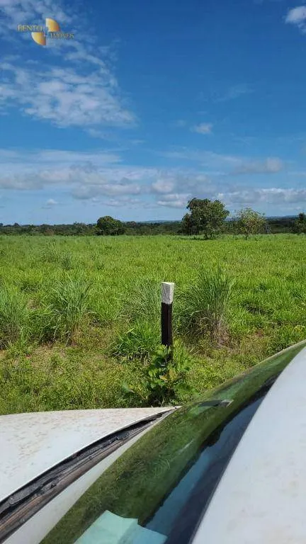Fazenda à venda de 320 ha em Jangada, MT, Brasil
