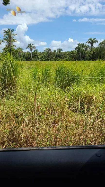 Fazenda à venda de 320 ha em Jangada, MT, Brasil