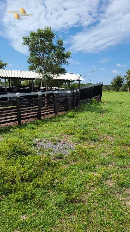 Fazenda à venda de 320 ha em Jangada, MT, Brasil