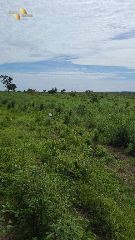 Fazenda à venda de 320 ha em Jangada, MT, Brasil