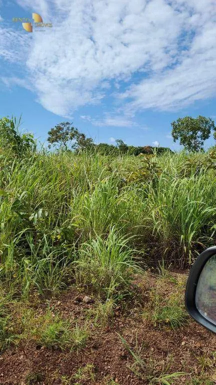 Fazenda à venda de 320 ha em Jangada, MT, Brasil