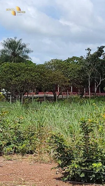 Fazenda à venda de 320 ha em Jangada, MT, Brasil