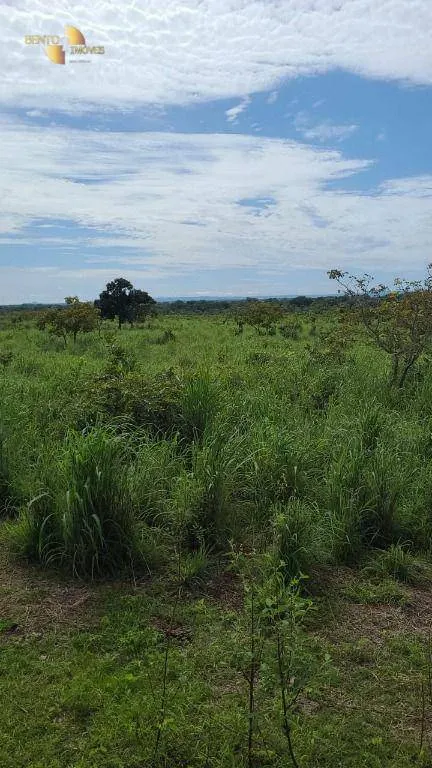 Fazenda à venda de 320 ha em Jangada, MT, Brasil