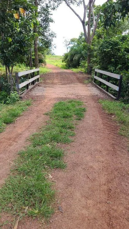 Fazenda à venda de 320 ha em Jangada, MT, Brasil