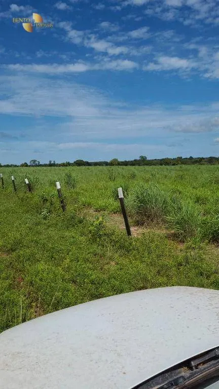 Fazenda à venda de 320 ha em Jangada, MT, Brasil