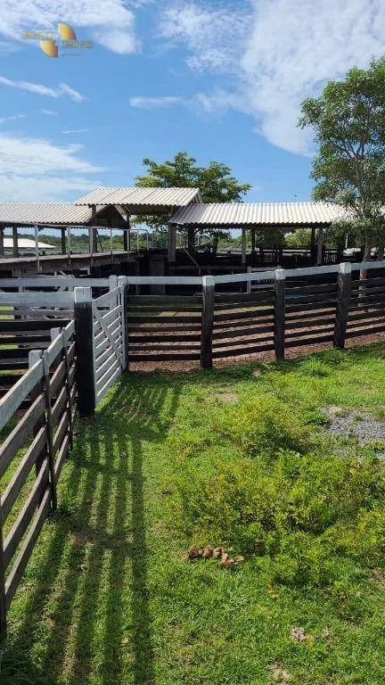 Fazenda à venda de 320 ha em Jangada, MT, Brasil