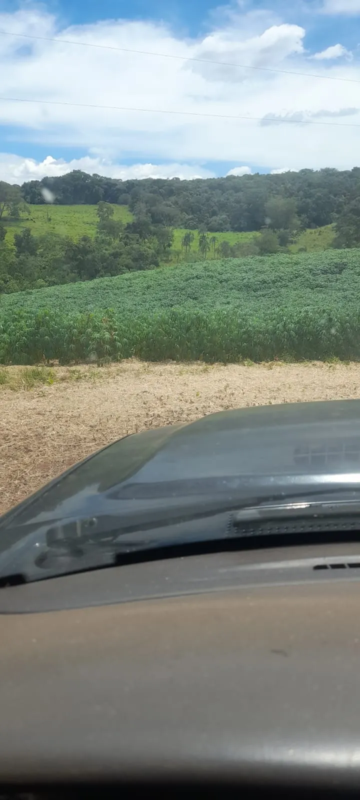 Chácara à venda de 5 ha em Vianópolis, GO, Brasil