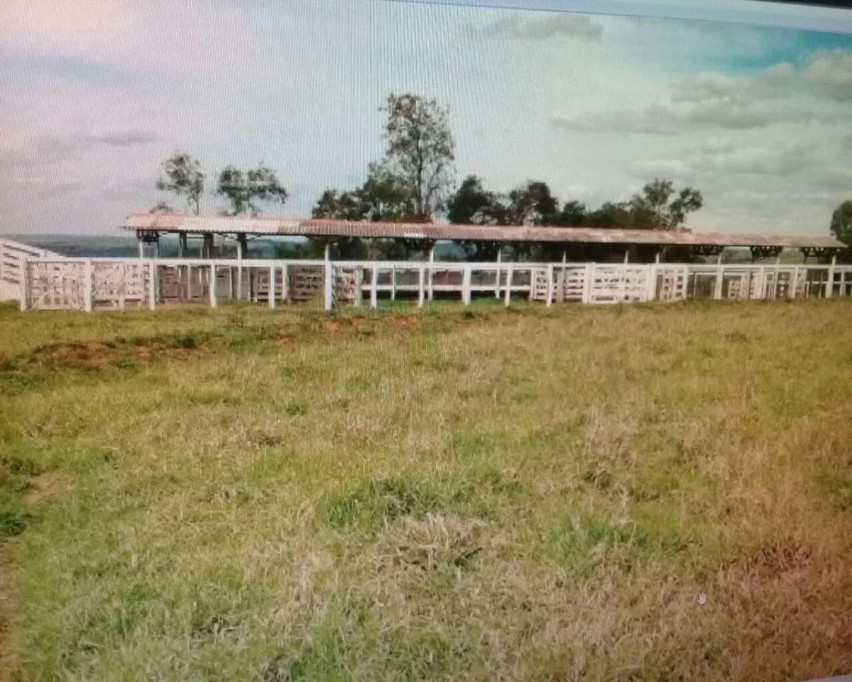 Fazenda à venda de 648 ha em Echaporã, SP, Brasil