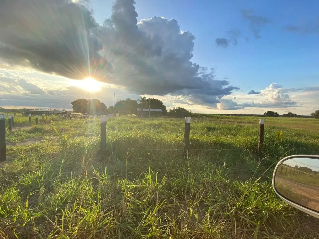 Fazenda à venda de 120 ha em Feliz Natal, MT, Brasil