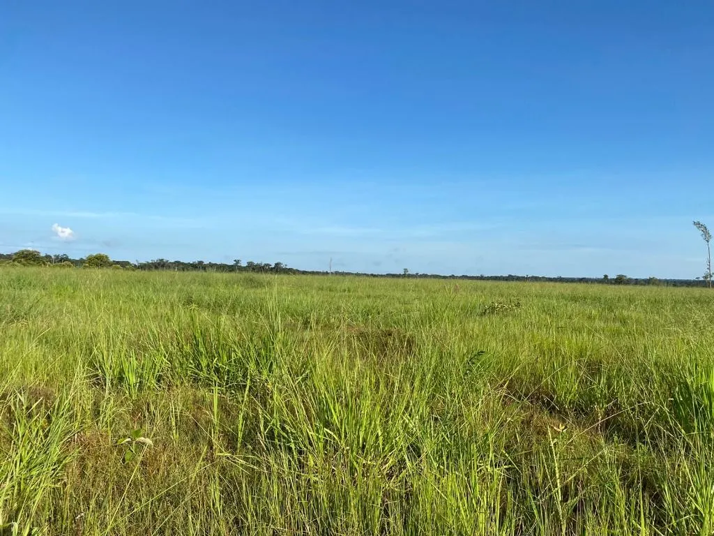 Fazenda à venda de 120 ha em Feliz Natal, MT, Brasil