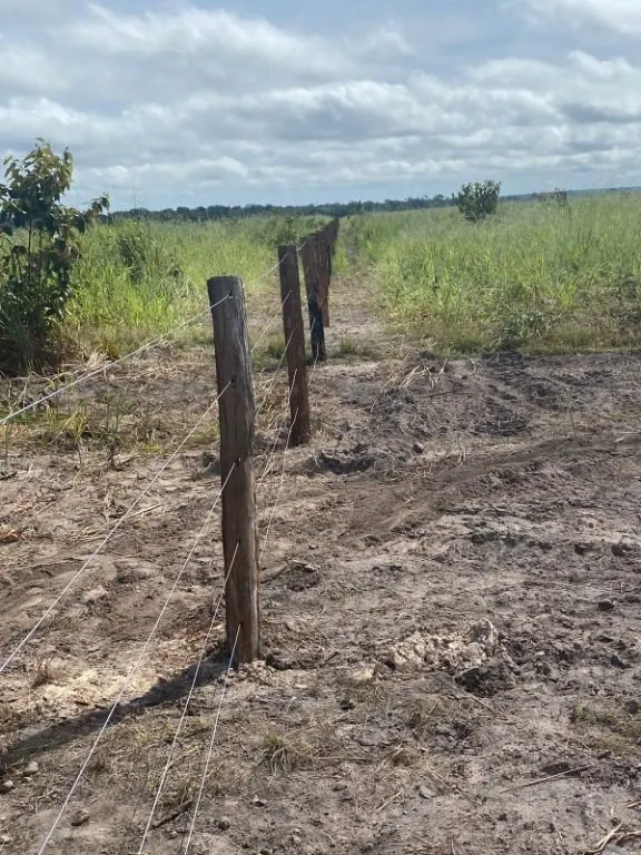 Fazenda à venda de 120 ha em Feliz Natal, MT, Brasil