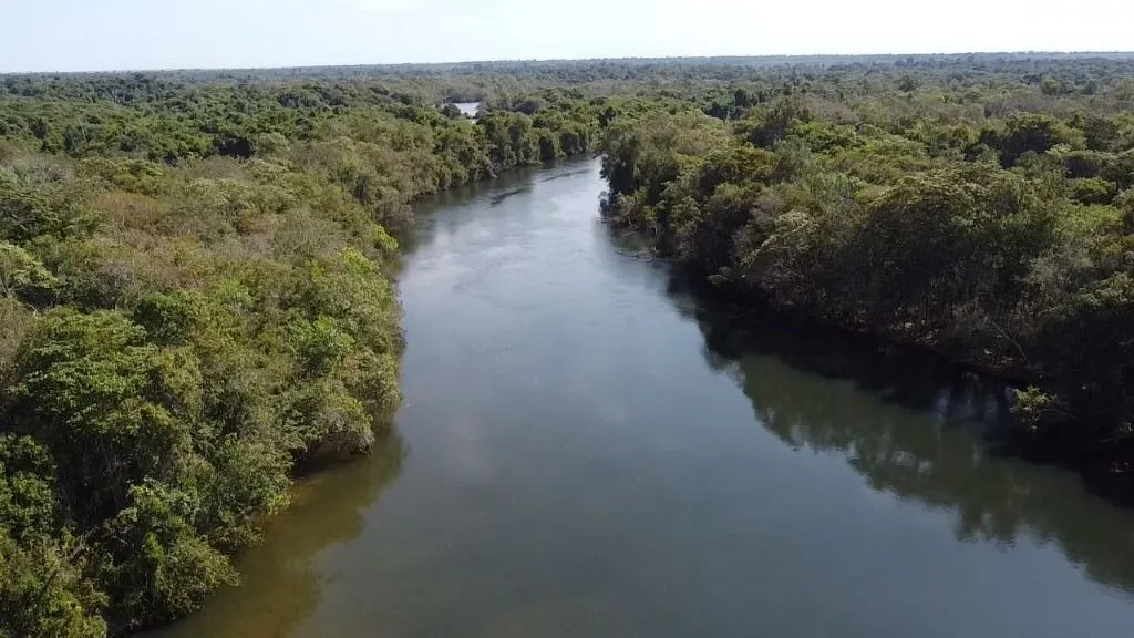 Fazenda à venda de 120 ha em Feliz Natal, MT, Brasil