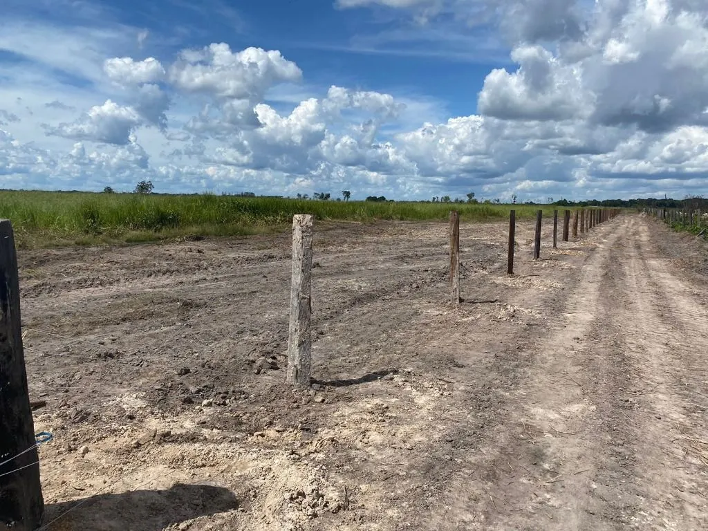 Fazenda à venda de 120 ha em Feliz Natal, MT, Brasil