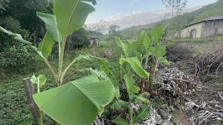 Terreno à venda de 720 m² em Santo Antônio da Patrulha, RS, Brasil