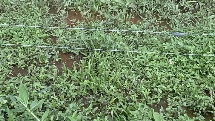 Terreno à venda de 720 m² em Santo Antônio da Patrulha, RS, Brasil