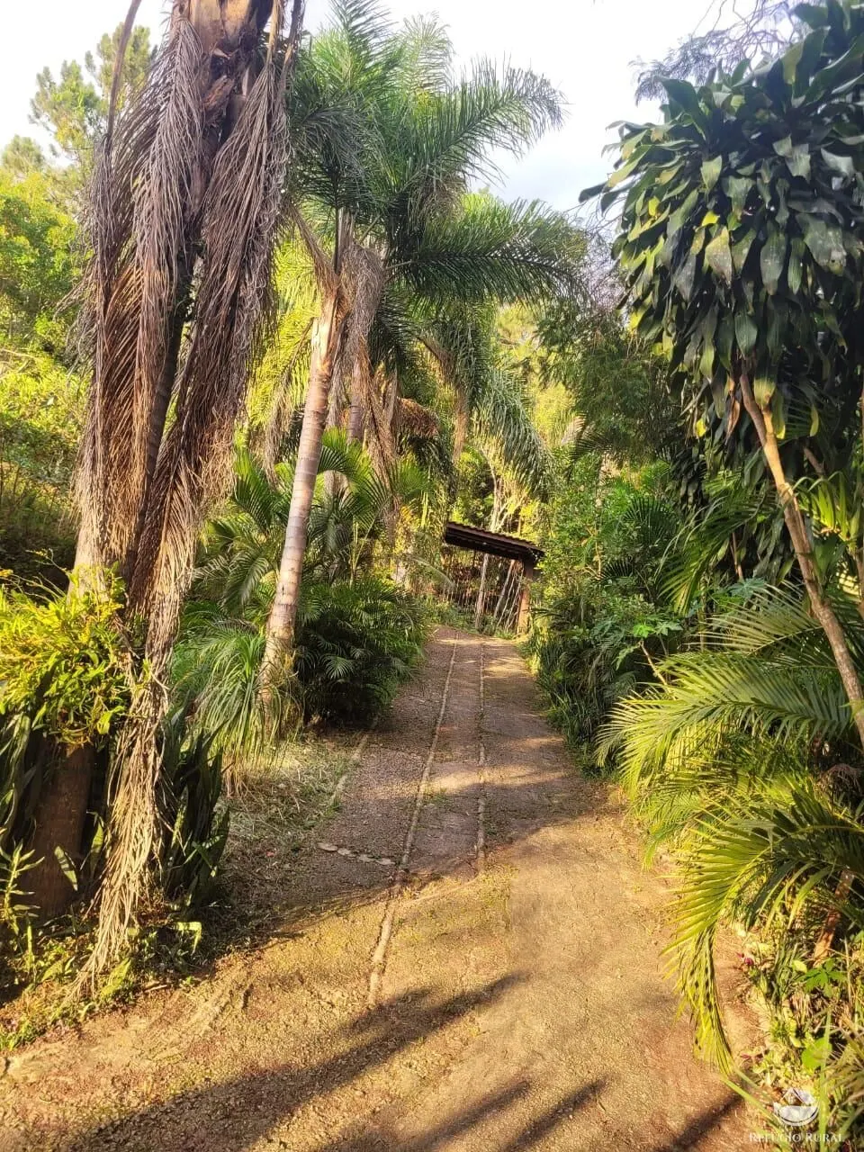 Chácara à venda de 5.000 m² em Jambeiro, SP, Brasil