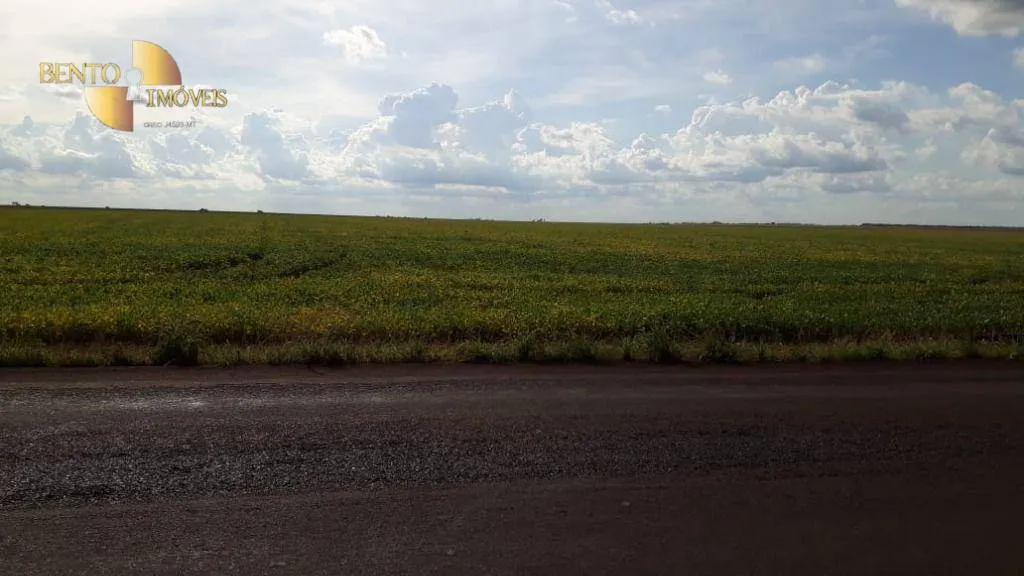 Fazenda à venda de 2.026 ha em Tangará da Serra, MT, Brasil