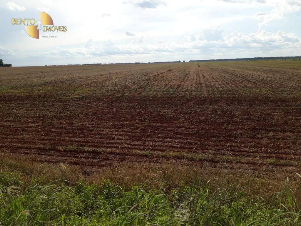 Fazenda à venda de 2.026 ha em Tangará da Serra, MT, Brasil