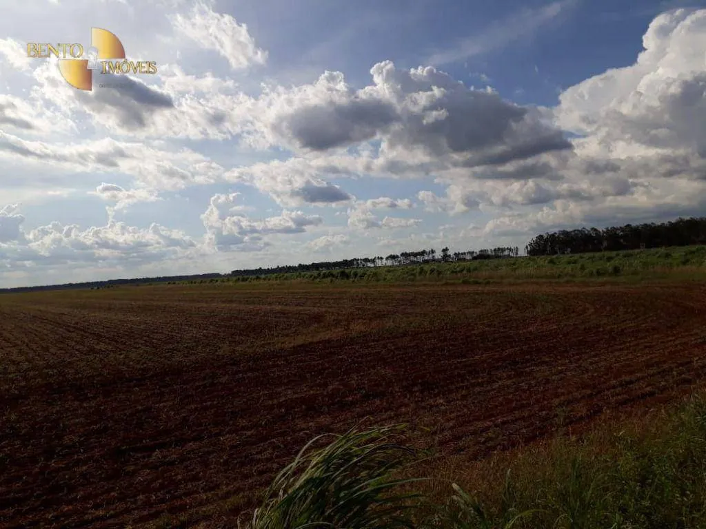 Fazenda à venda de 2.026 ha em Tangará da Serra, MT, Brasil