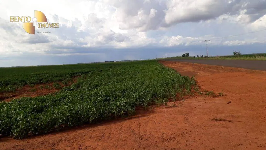 Fazenda à venda de 2.026 ha em Tangará da Serra, MT, Brasil