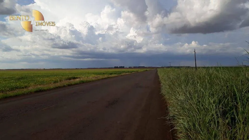 Fazenda à venda de 2.026 ha em Tangará da Serra, MT, Brasil