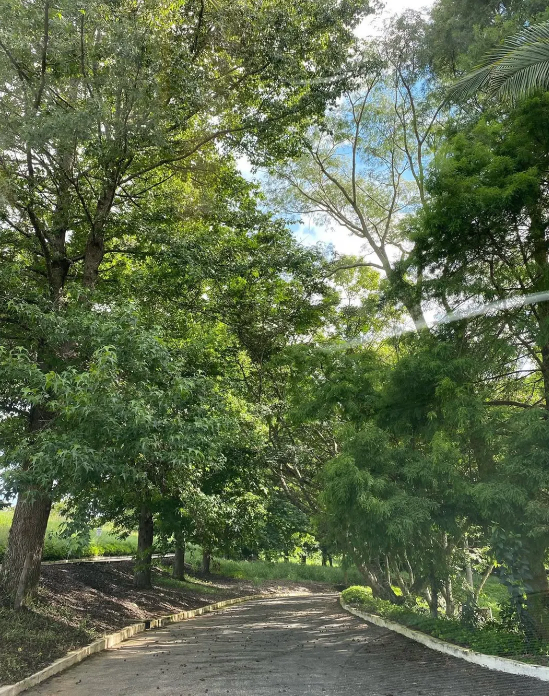 Terreno à venda de 2 ha em Jarinu, SP, Brasil