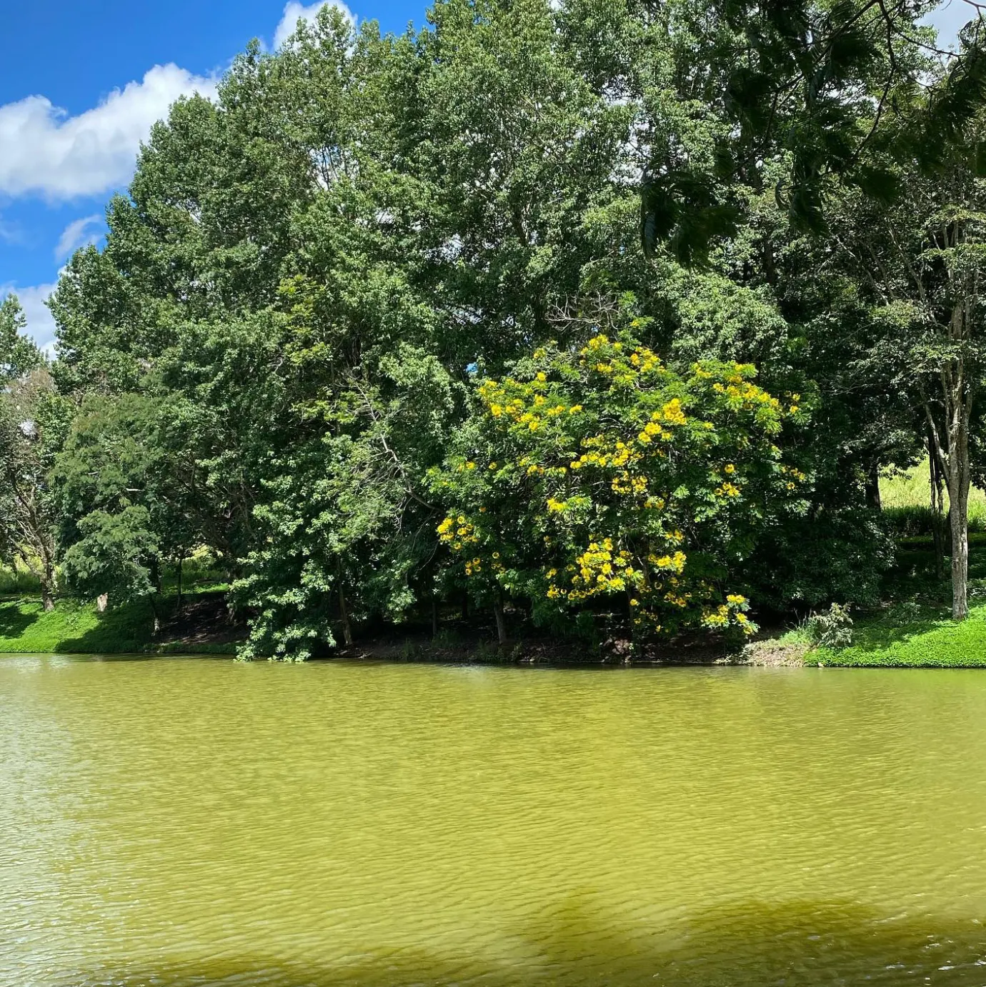 Terreno à venda de 2 ha em Jarinu, SP, Brasil