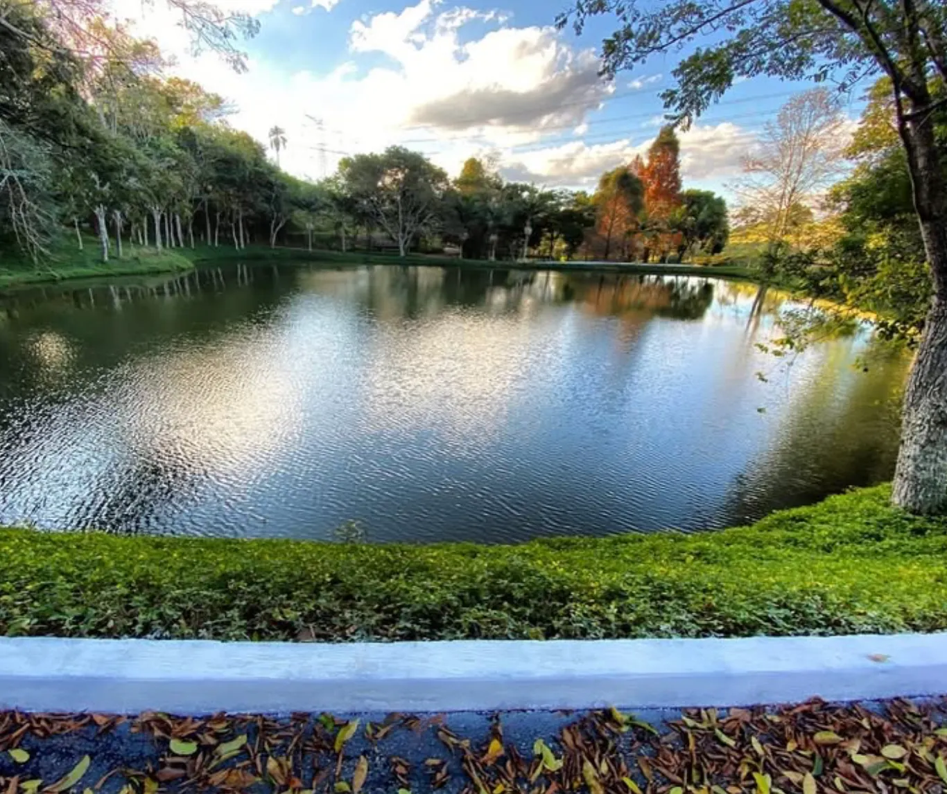 Terreno à venda de 2 ha em Jarinu, SP, Brasil
