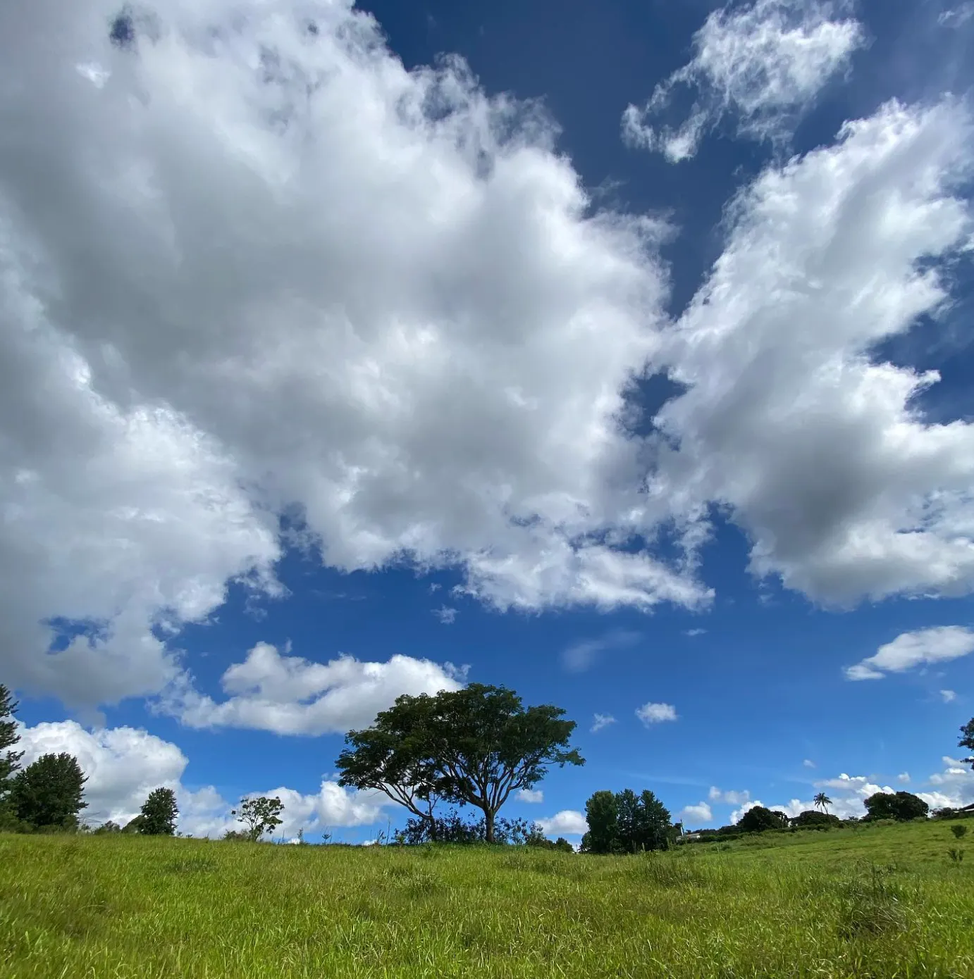 Terreno à venda de 2 ha em Jarinu, SP, Brasil