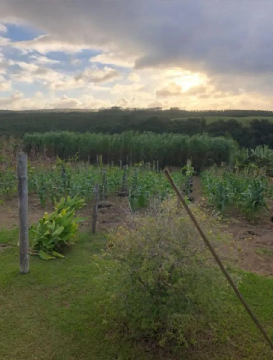Sítio à venda de 4 ha em São Miguel Arcanjo, SP, Brasil