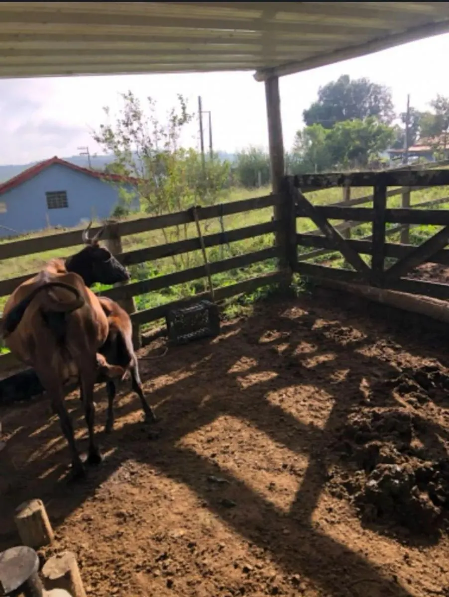 Sítio à venda de 4 ha em São Miguel Arcanjo, SP, Brasil