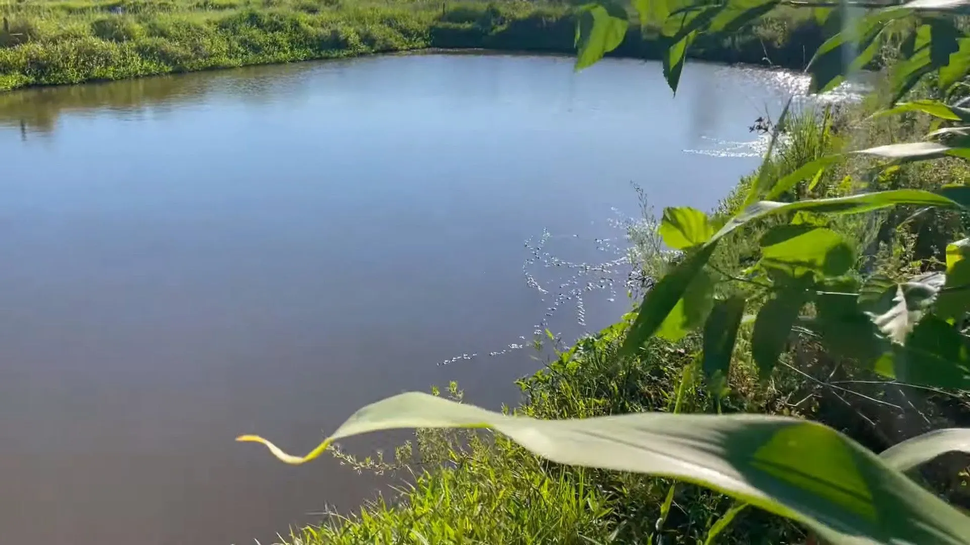 Country home for sale of 2,900 m² in Santo Antônio da Patrulha, RS, Brazil