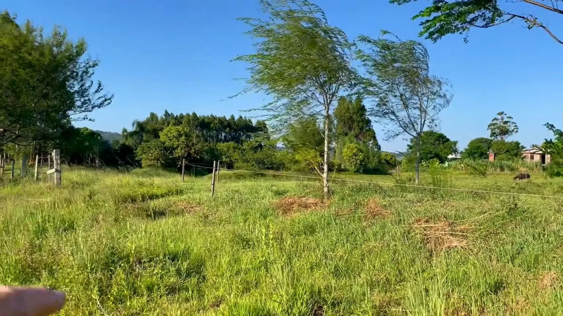 Chácara à venda de 2.900 m² em Santo Antônio da Patrulha, RS, Brasil
