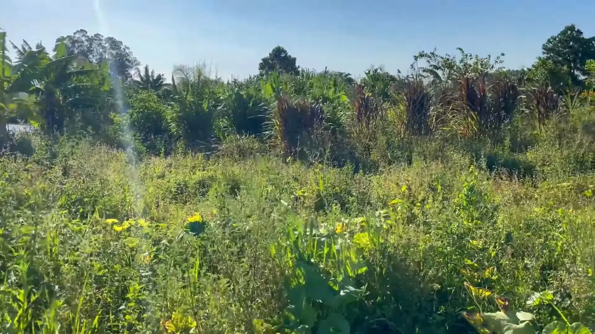Country home for sale of 2,900 m² in Santo Antônio da Patrulha, RS, Brazil