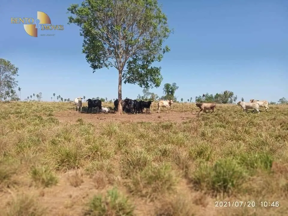 Fazenda à venda de 9.249 ha em Xinguara, PA, Brasil