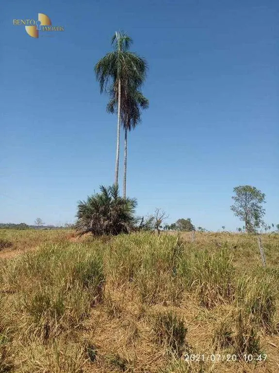 Fazenda à venda de 9.249 ha em Xinguara, PA, Brasil