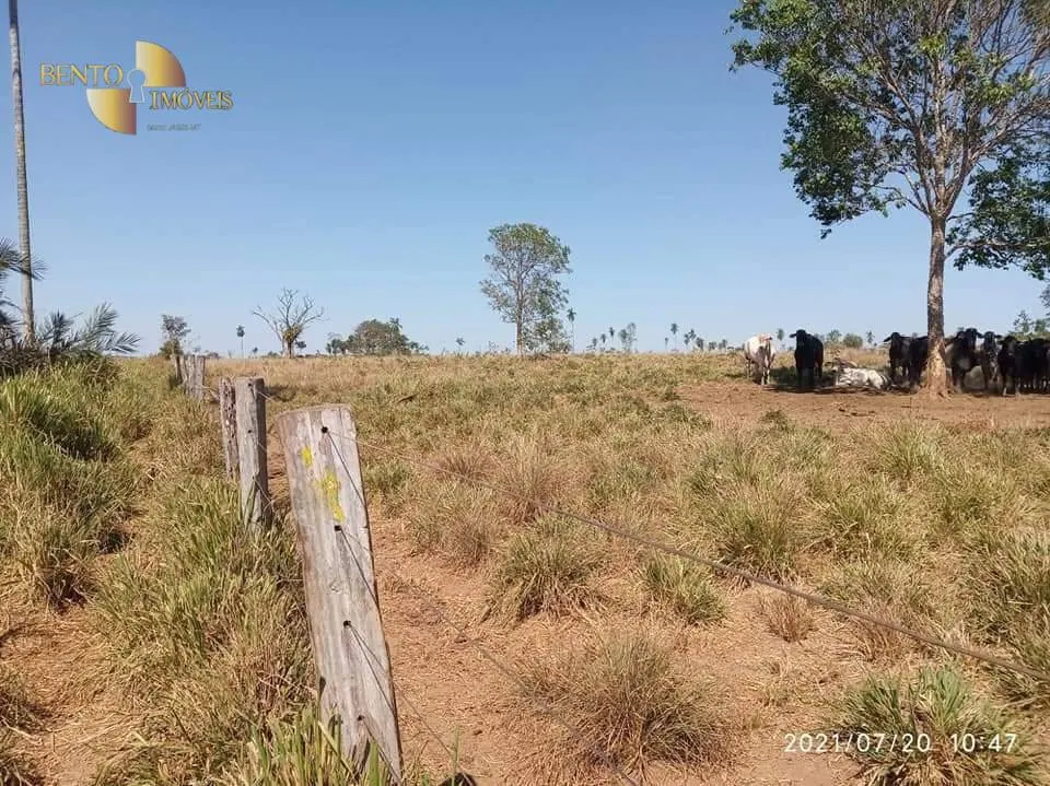 Fazenda à venda de 9.249 ha em Xinguara, PA, Brasil
